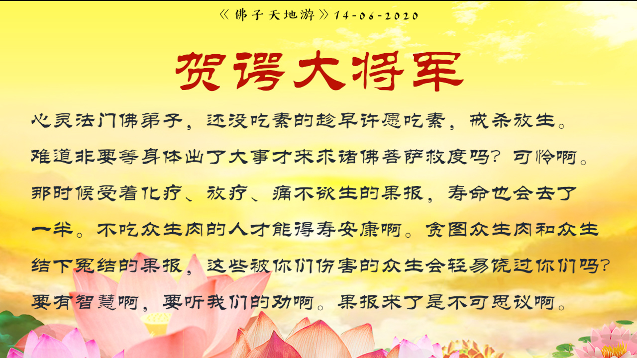 最全【犯太岁专辑】 最全【犯太岁专辑】